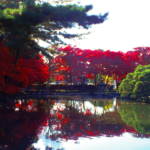 盛岡市中央公民館の紅葉を懐かしく