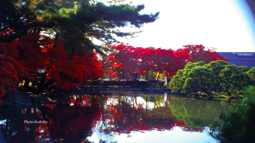 盛岡市中央公民館の紅葉を懐かしく