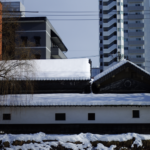 盛岡市内の雪歩き