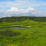 烏帽子岳登山と千沼ヶ原