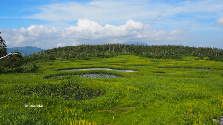 烏帽子岳登山と千沼ヶ原