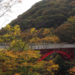 釜石市仙人峠の紅葉